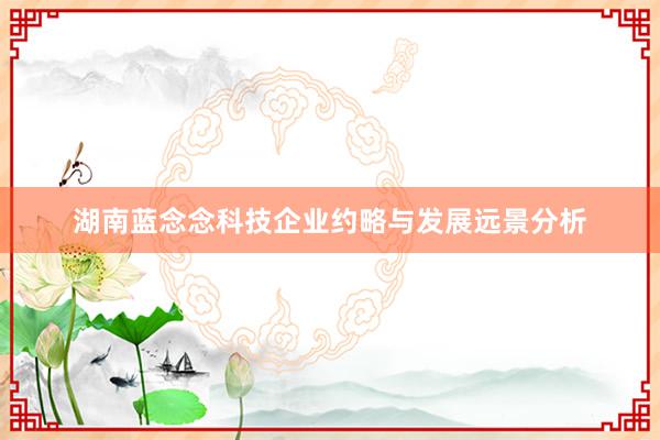 湖南蓝念念科技企业约略与发展远景分析